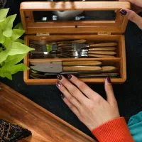 لوکس مارکت و پلاسکو نشاط