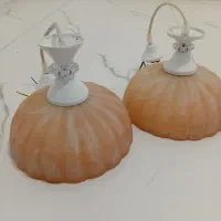 دو عدد لوستر