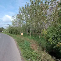 زمین روستایی 300 متری نبش آسفالت قابلیت ساخت