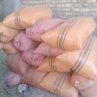 علوفه دام یونجه خشک