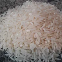 فروش برنج شمال