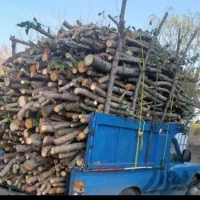 هرس کردن درختان وخرید درختان شما بابالاترین قیمت|خدمات باغبانی و درختکاری|خرمآباد, |دیوار