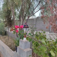 باغ شهری نشاط|فروش خانه و ویلا|شیراز, بید زرد|دیوار