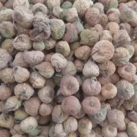 فروش انجیر زمستانه (تفت بادم یاخشک )
