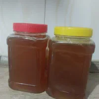 عسل طبیعی کنار با بهترین طمع|خوردنی و آشامیدنی|فولادشهر, مسکن مهر فولادشهر|دیوار