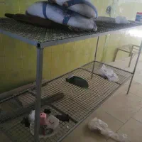 نانوایی|فروشگاه و مغازه|چناران, |دیوار