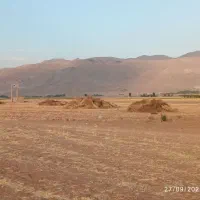 فروش جارو به صورت عمده و خورده|حراج|خانمیرزا, |دیوار