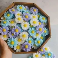 شمع بابونه
