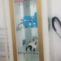 گنجه