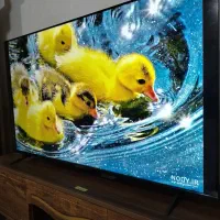 تلویزیون الیدی 43اینچ دوو اصل کره فورکی 4k در حدنو|تلویزیون و پروژکتور|مشهد, اروند|دیوار