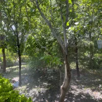 ویلایی۲۵۰متری احمدآبادپاستور