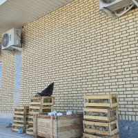 مجری بنایی و کارهای پیمان کاری به صورت شرایطی|خدمات پیشه و مهارت|سمنان, |دیوار