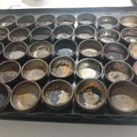 پیاله کیک یزدی و پای سیب و انواع پای