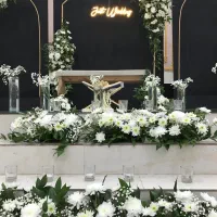 تشریفات صبا