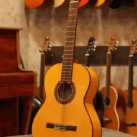 ساز کلاسیک|گیتار، بیس، امپلیفایر|تالش, هشتپر|دیوار