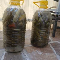 خیارشور|خوردنی و آشامیدنی|قرچک, باقرآباد|دیوار