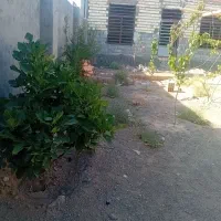 کهنشر خانه نیم ساز لب خیبان دونبش بنیاد مسکنی|فروش زمین و ملک کلنگی|سیرجان, |دیوار