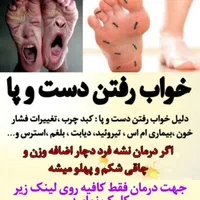 کبد