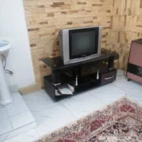 تلویزیون