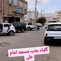 کارواش