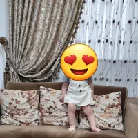 کتیبه و پرده|پرده، رانر، رومیزی|رشت, گلسار|دیوار