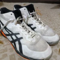 کتانی اسیکس والیبال قیمت مناسب ویتنام|کیف، کفش، کمربند|لاهیجان, امیرشهید|دیوار