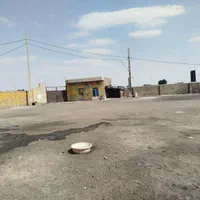 اجاره ۷۰۰۰ متری جاده ورامین بعد پل فیروز آباد|اجارهٔ دفتر صنعتی، کشاورزی، تجاری|تهران, تهران‌نو|دیوار