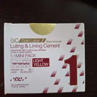 لایت و لوتینگ GC