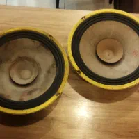 میدرنج سایز ۱۰qs