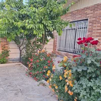 سوییت-دربست-ابتدای-گلدشت