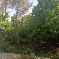 فروش خانه کلنگی، ۳۰۰ متر، شهرک انقلاب|فروش زمین و ملک کلنگی|شاهرود, |دیوار