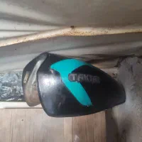 رنگی کبوتر|پرنده|چمران, |دیوار