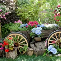 لوکیشن جذاب برای عکس برداری