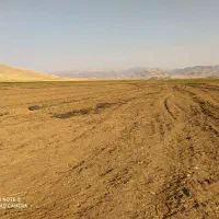 اجاره 14هکتار زمین کشاورزی سیستمی برای چغندرگندم|اجارهٔ دفتر صنعتی، کشاورزی، تجاری|سرپل ذهاب, |دیوار