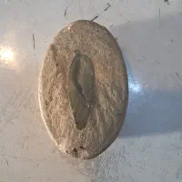 سنگ کلکسیونی