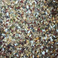 مخلوط بدون گندم و ذرت