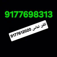 9177698313