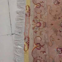 قالی تبریز ۹ متری علیا ۵۰ رج