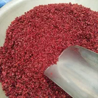 زرشک دانه اناری و زیر تالاری محصول پاییز ۱۴۰۴ قائن|خوردنی و آشامیدنی|قائن, |دیوار