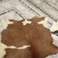 پوست تزیینی|صنایع دستی و سایر لوازم تزئینی|قرچک, میرزائی جنوبی|دیوار