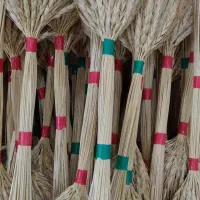 گندم طلای|گل و گیاه طبیعی|خاوران, |دیوار