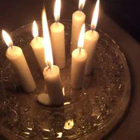 انواع فال دقیق و موکلدار|فعالیت داوطلبانه|شیراز, شاهچراغ|دیوار