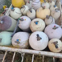 تعداد مخزن تاریخ گذشته فروشی