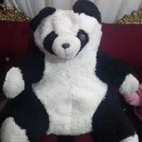 خرس مشکی سفید مرتب وشسته شده درون کاور