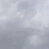 مربی بدنسازی اقا