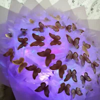 پروانه های جاودان