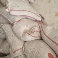 گندم بذری پیشگام سبوس گندم و تفاله پرک  گندم دامی|خدمات باغبانی و درختکاری|تربت جام, معدآباد|دیوار