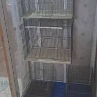 قفس پرنده(قناری فنچ مرغ عشق)