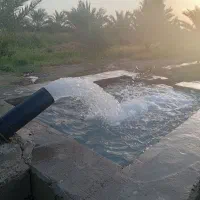 یک هکتار زمین کشاورزی خوش قیمت عنبرآباد