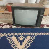 تلویزیون‌ بیست‌ و یک‌ ‌ اینچ‌ پارس|تلویزیون و پروژکتور|اصفهان, باغ فدک|دیوار